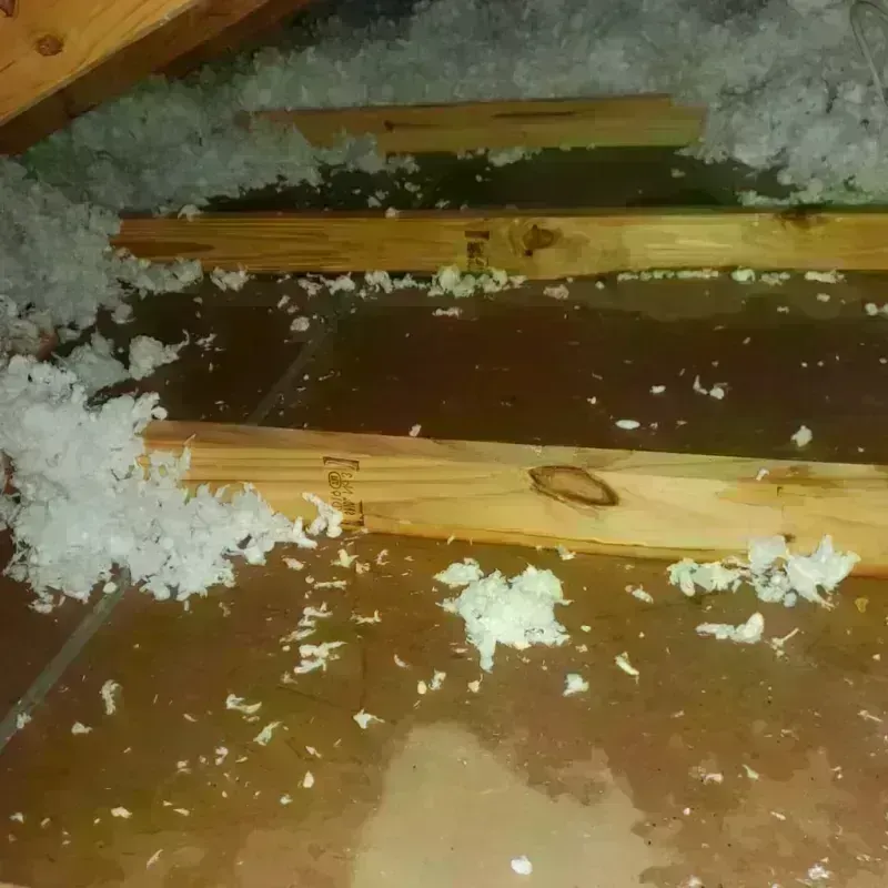 Attic Water Damage in Shaw, MS