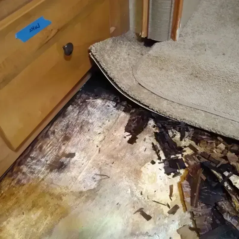 Wood Floor Water Damage in Shaw, MS